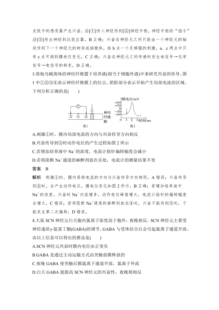 人教版（2019）选择性必修1 第2章　神经调节 专题特训2　兴奋的传导与传递相关重点题型（含解析）