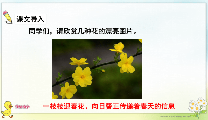 13花钟 课件（共55张PPT 2课时）