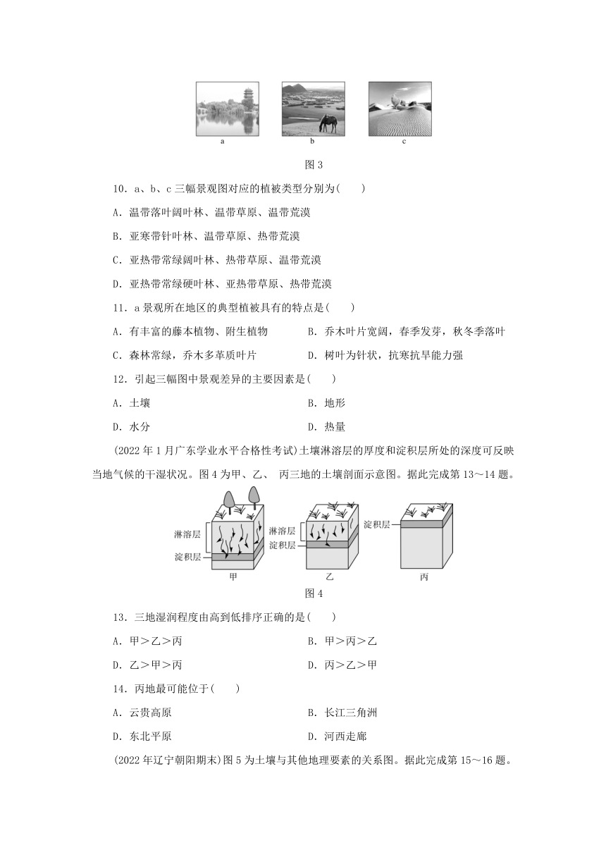 新人教版必修第一册2024版高中地理第5章植被与土壤综合检测卷（含解析）