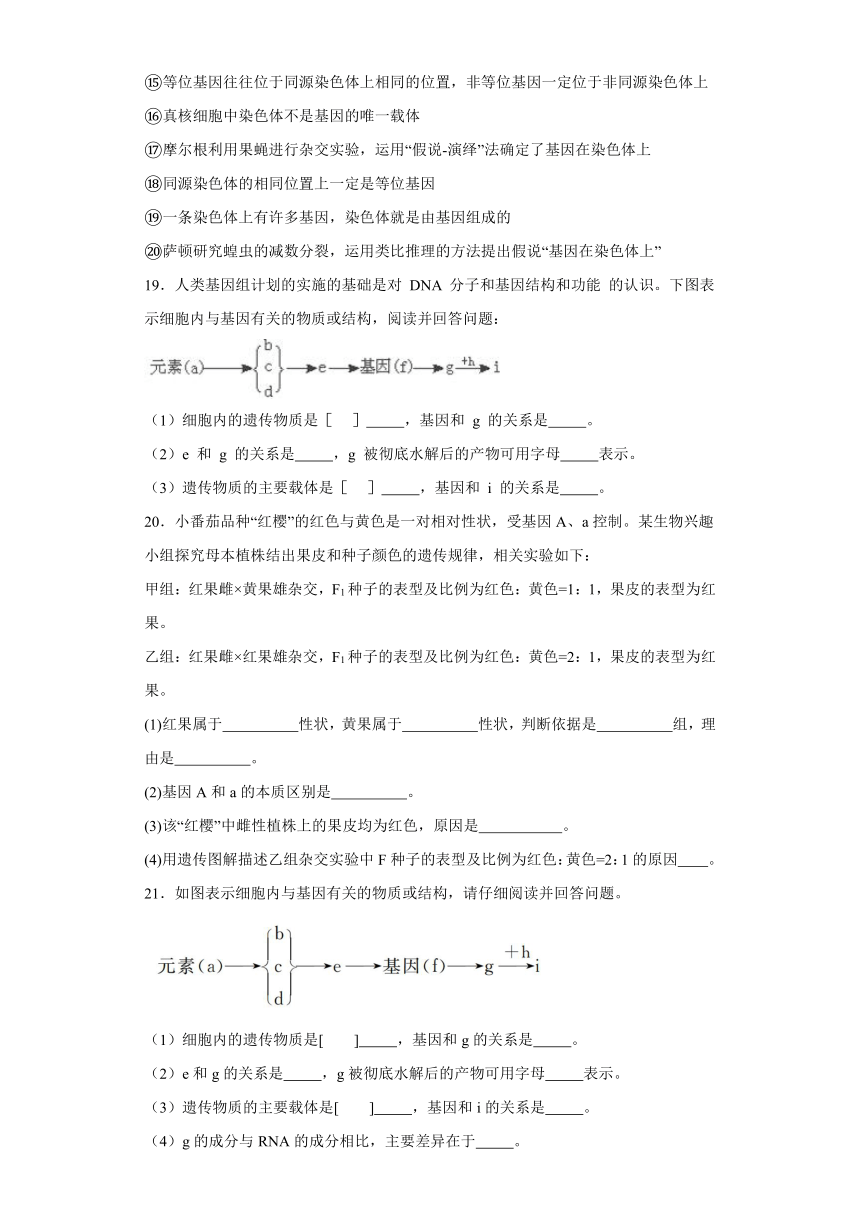 3.4基因通常是有遗传效应的DNA片段 练习（含解析）