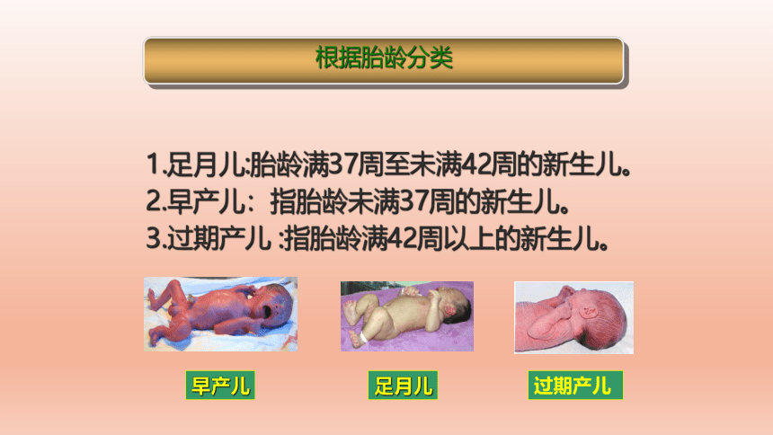 2.6.1正常新生儿的特点及护理（课件）-中职《儿科护理》同步教学（江苏凤凰教育出版社）(共40张PPT)