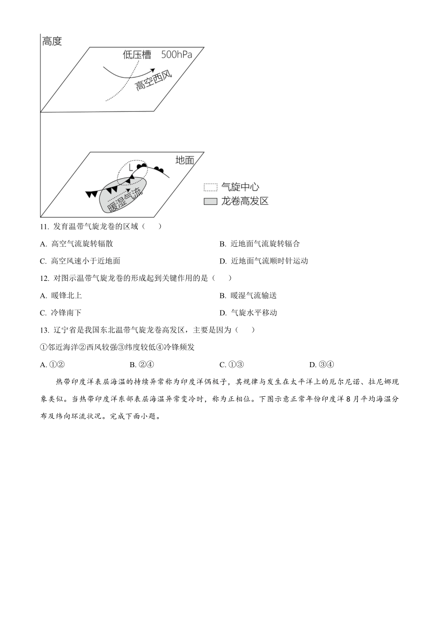 山东省聊城颐中外国语名校22023-2024学年高三上学期期中考试地理（解析版）