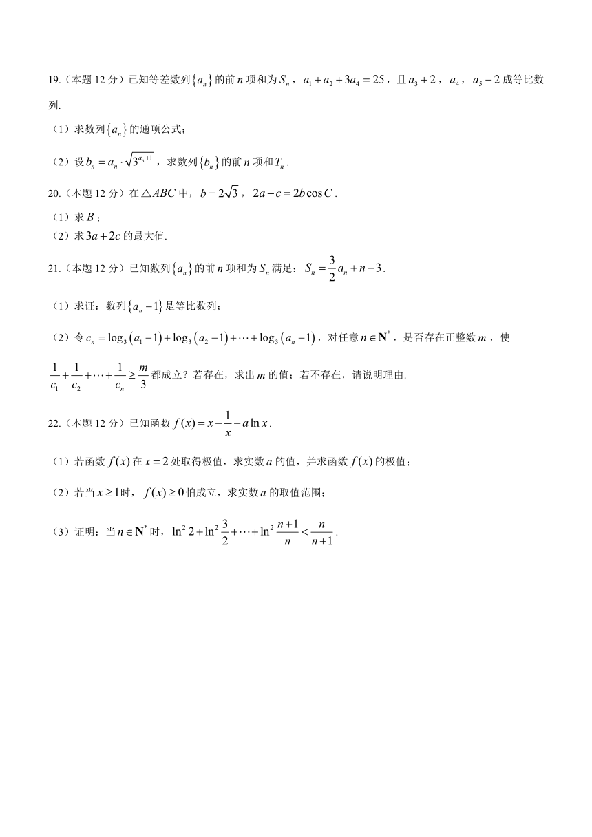 黑龙江省哈尔滨市香坊区2023-2024学年高三上学期期中考试数学试题（含答案）