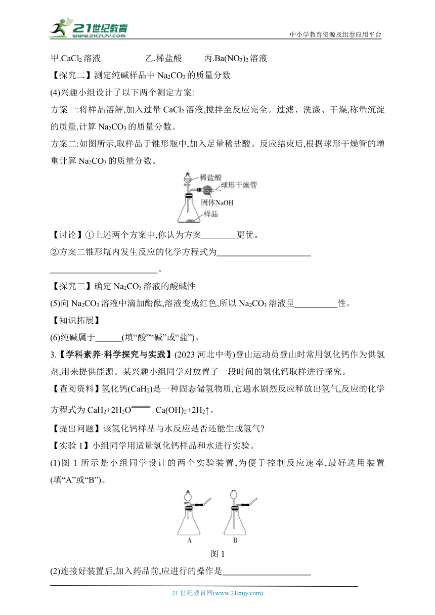 2024北京课改化学九年级下学期课时练--专项素养综合全练（六）   科学探究