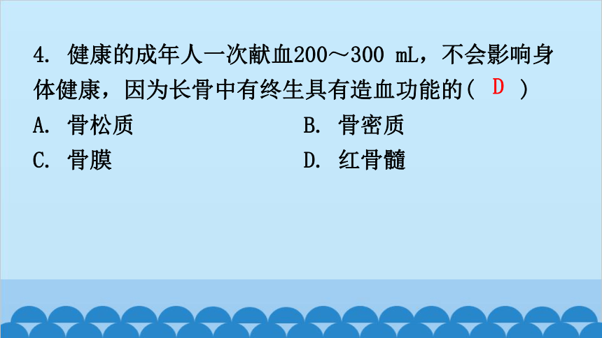 第5单元过关训练课件(共42张PPT)北师大版生物八年级上册