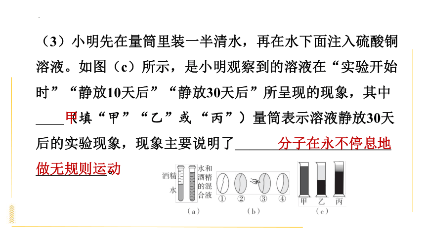 10.2分子动理论的初步知识 课时训练课件(共23张PPT)2023－2024学年沪粤版物理八年级下册