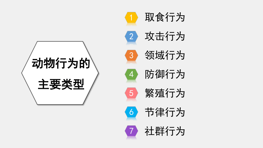 5.16.2 动物行为的主要类型 课件(共33张PPT)北师大版八年级上册