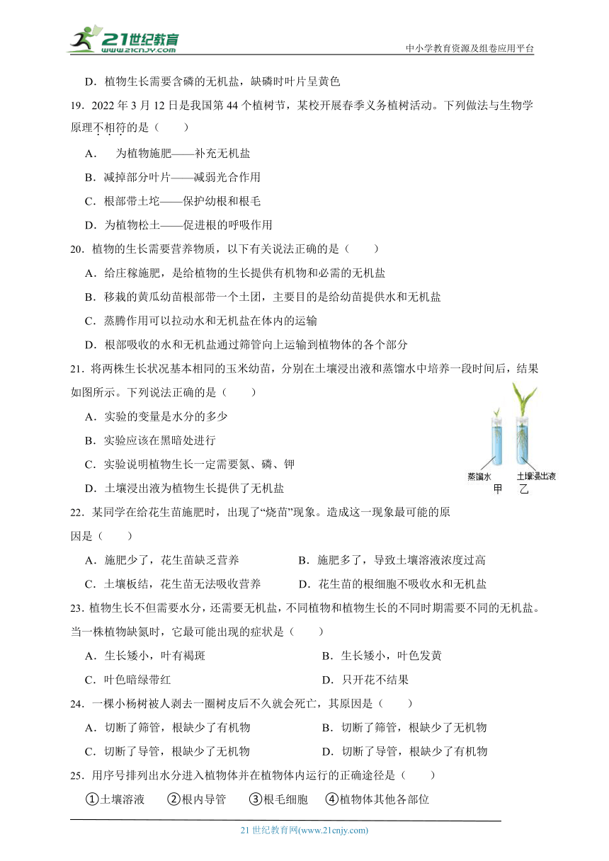 华师大版科学八上期末专题复习：植物体中的代谢（含答案）