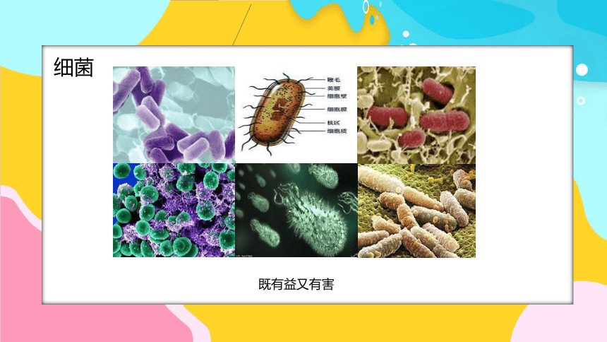 春季常见传染病预防知识 课件(共43张PPT)