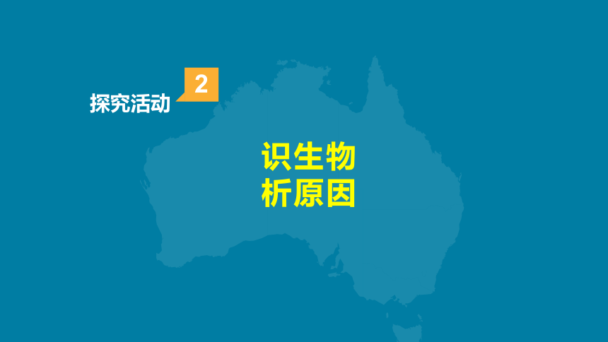 人教版地理七下8.4澳大利亚 课件(共49张PPT内嵌视频)