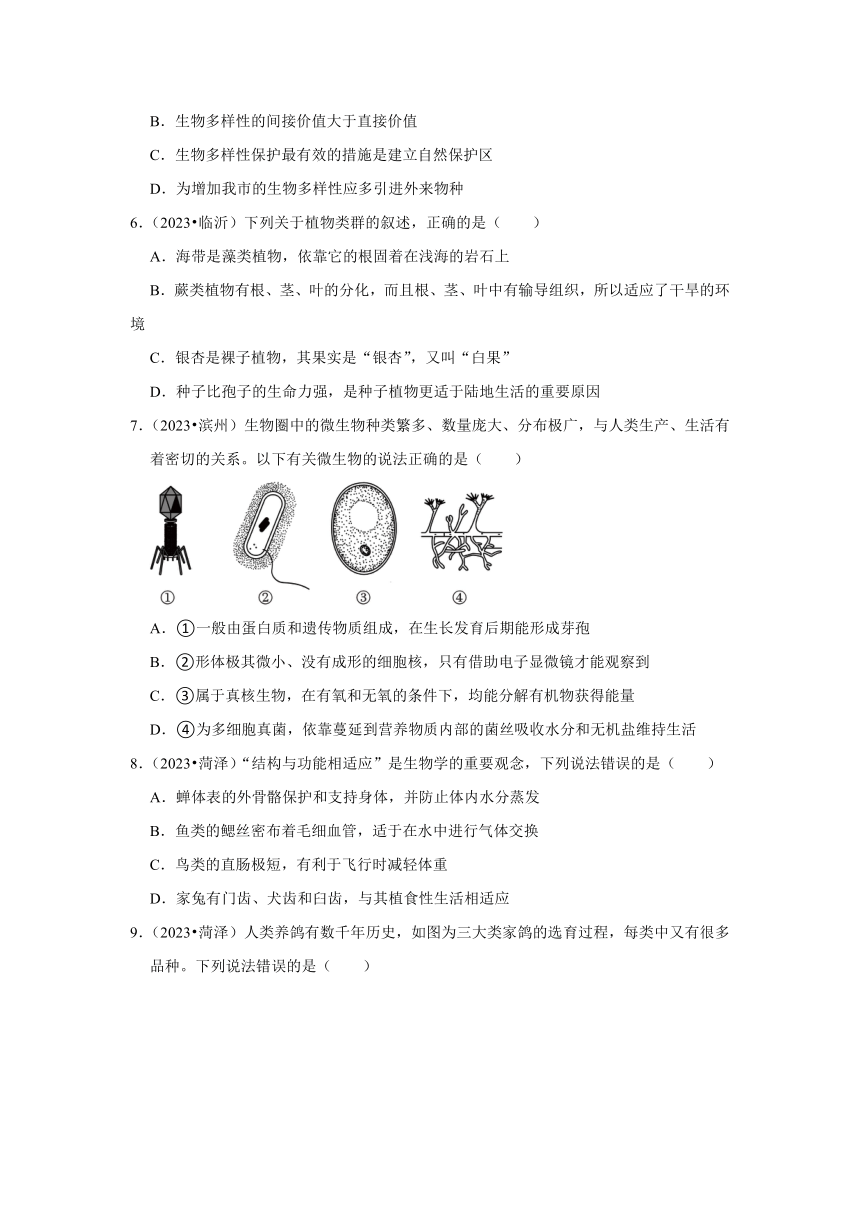 专题6生物的多样性——2022-2023年山东省中考生物试题分类（含解析）