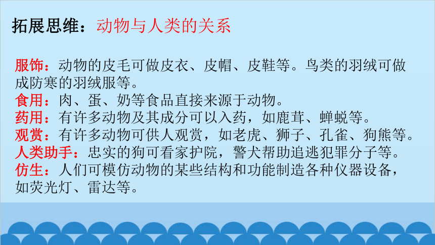 5.17.2我国的动物资源及保护课件（共21张PPT）北师大版生物八年级上册