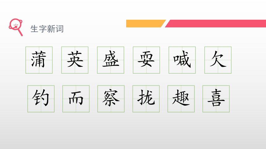 16.《金色的草地》课件(共21张PPT）