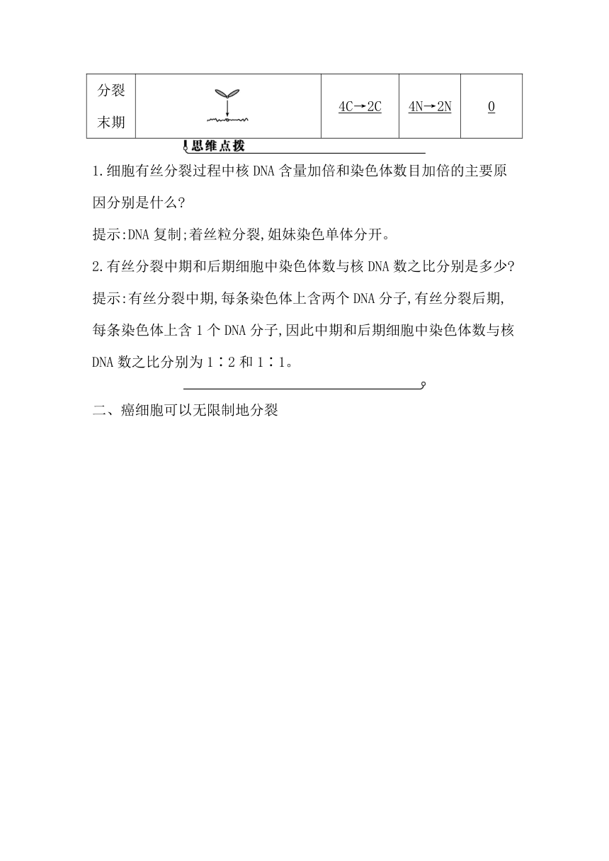 浙科版（2019）生物必修一 第四章第一节课时2    细胞分裂过程中相关物质含量的变化及细胞癌变学案（有解析）