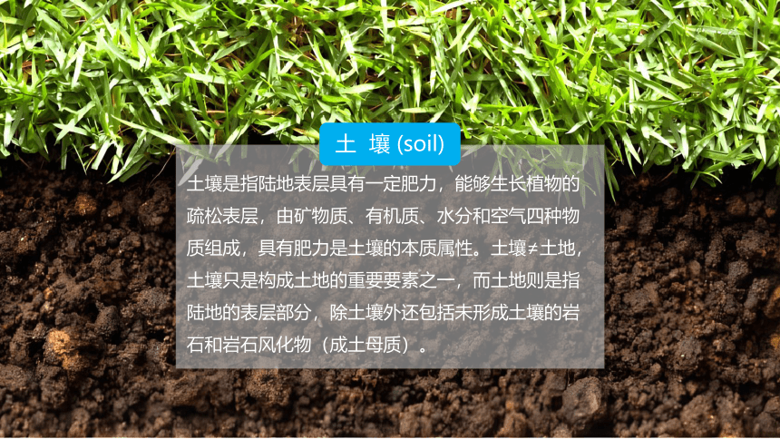 2-6 土壤的主要形成因素-高中地理中图版（2019版）必修一同步课件(共43张PPT)