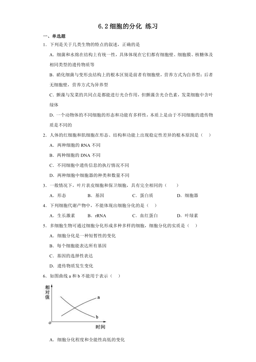 6.2细胞的分化 练习（解析版）