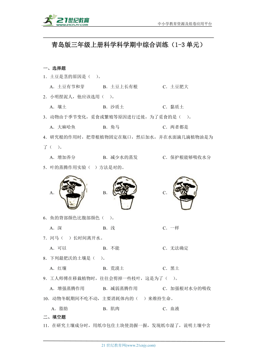 青岛版六三制三年级上册科学科学期中综合训练（1-3单元）（含答案）