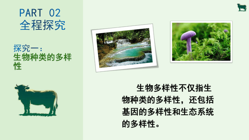 6.2 认识生物的多样性-【优质课】2023-2024学年八年级生物上册同步教学课件(共24张PPT)