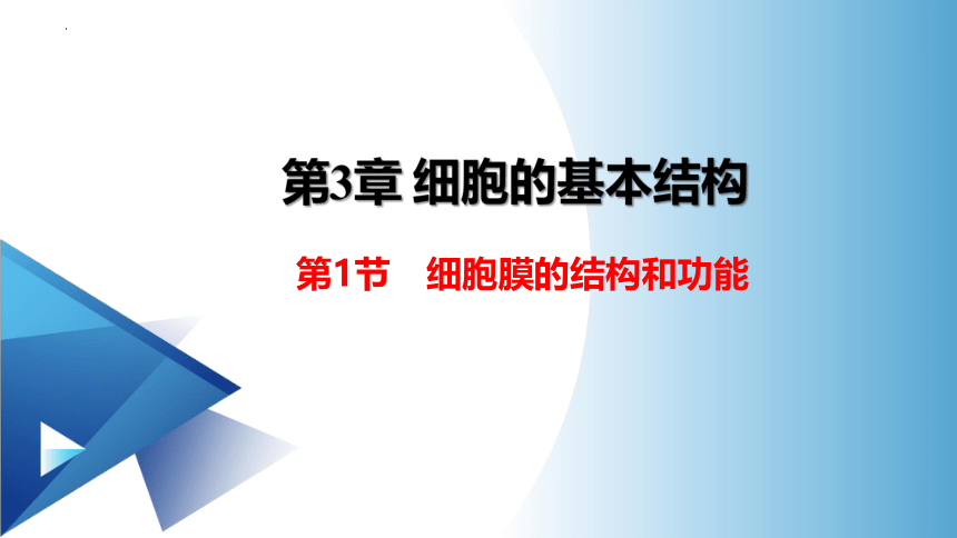 3.1细胞膜的结构和功能 课件(共53张PPT)