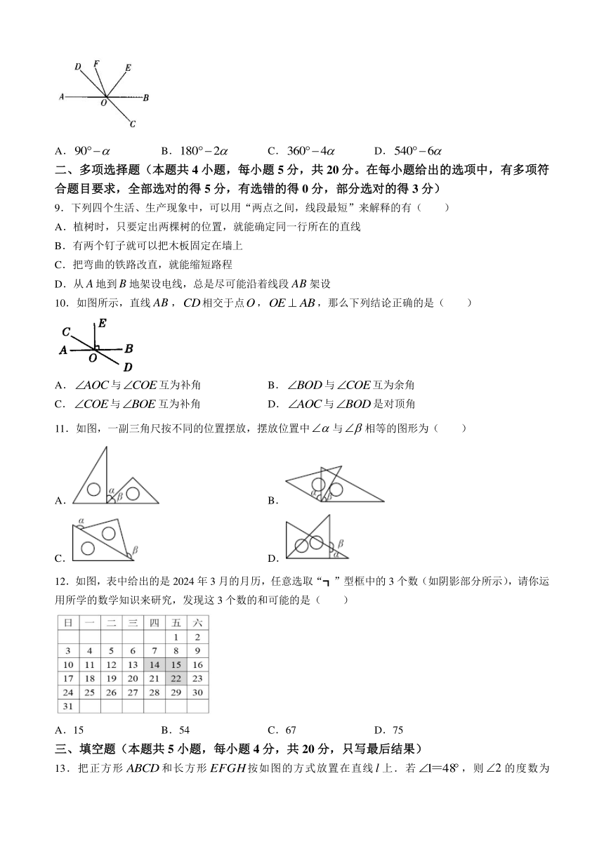 山东省潍坊市高密市2023-2024学年七年级下学期3月月考数学试题(含答案)