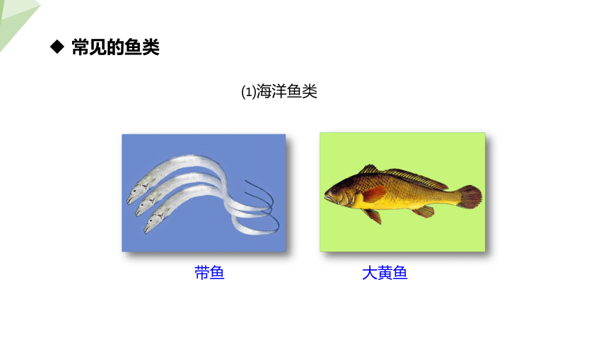 5.14.2 千姿百态的动物世界  第2课时 课件 2023-2024学年初中生物苏教版八年级上册