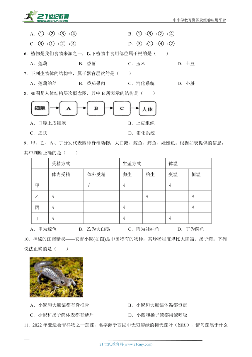 浙教版七上 第二单元《观察生物》达标检测卷（含解析）