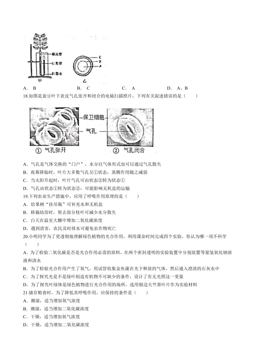 山东省威海市威海经济技术开发区2022-2023学年六年级下学期期末生物试题（含答案）