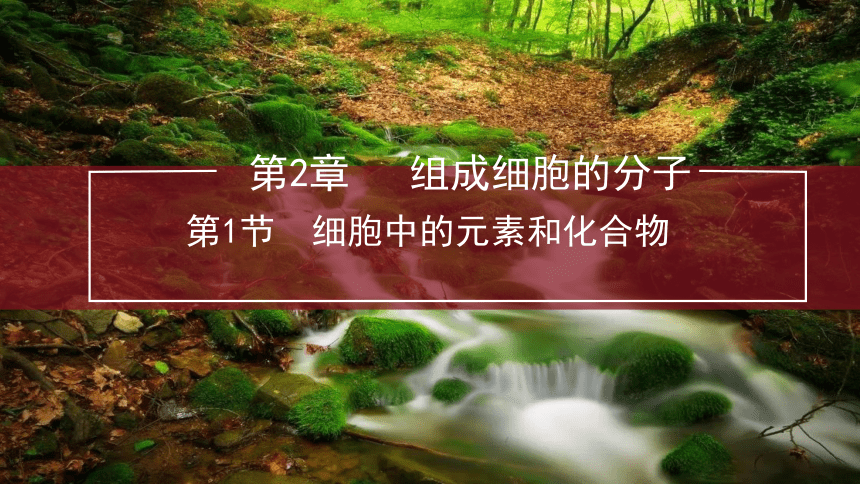 人教生物必修1复习课件：2.1 细胞中的元素和化合物