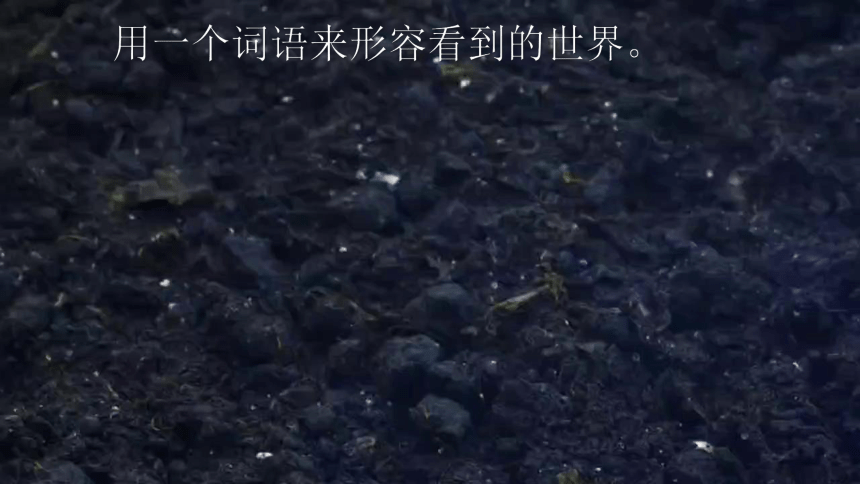 22.《我们奇妙的世界》课件(共49张PPT)