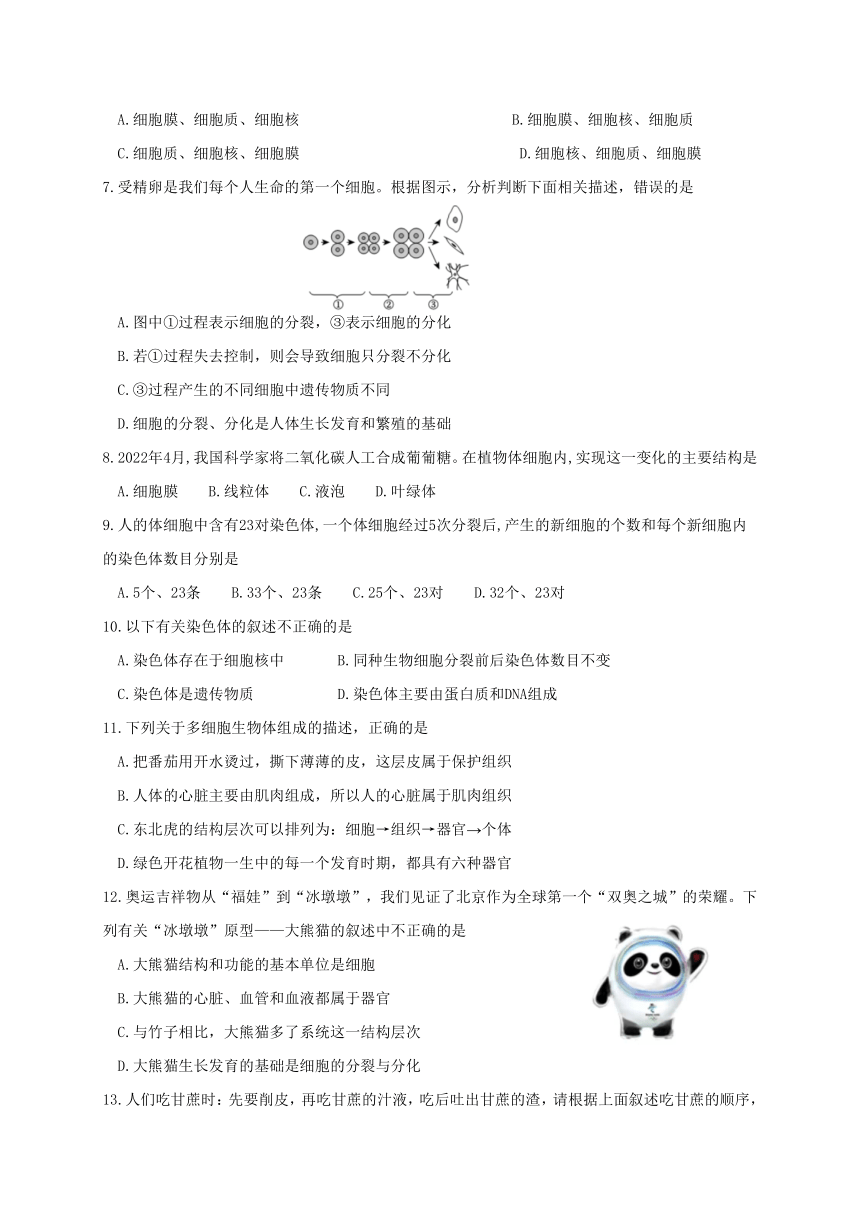 江苏省徐州市新沂市2022-2023学年七年级下学期期中抽测生物试题（含答案）