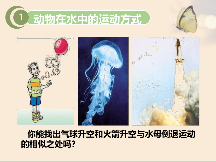 15.1 动物运动的方式-【生物讲堂】2023-2024学年八年级生物上册同步备课课件（北师大版）(共21张PPT)