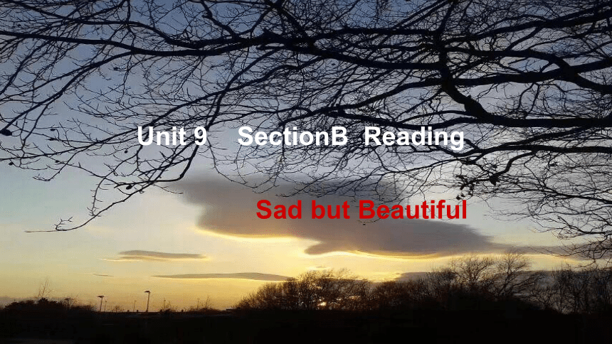 Unit 9 I like music that I can dance to.Section B sad but beautiful课件  (共23张PPT)