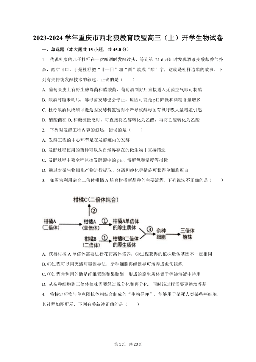 2023-2024学年重庆市西北狼教育联盟高三（上）开学生物试卷（Word含解析）