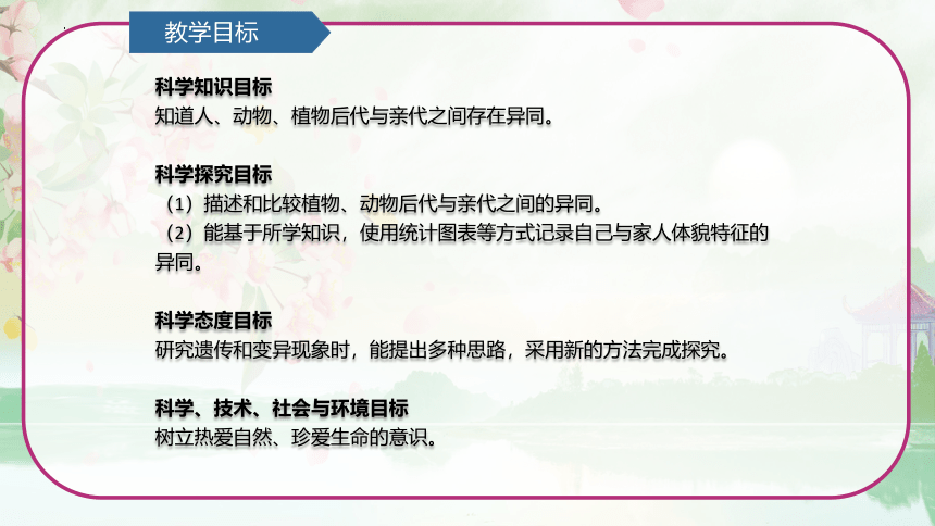 青岛版（六三制2017秋） 六年级上册1.2像与不像 课件(共15张PPT)