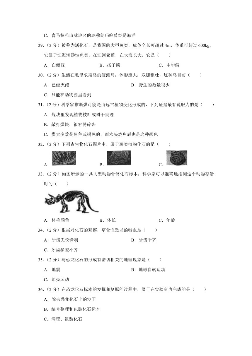 2023年湖南省湘潭市湘乡市小升初科学试卷（含答案）