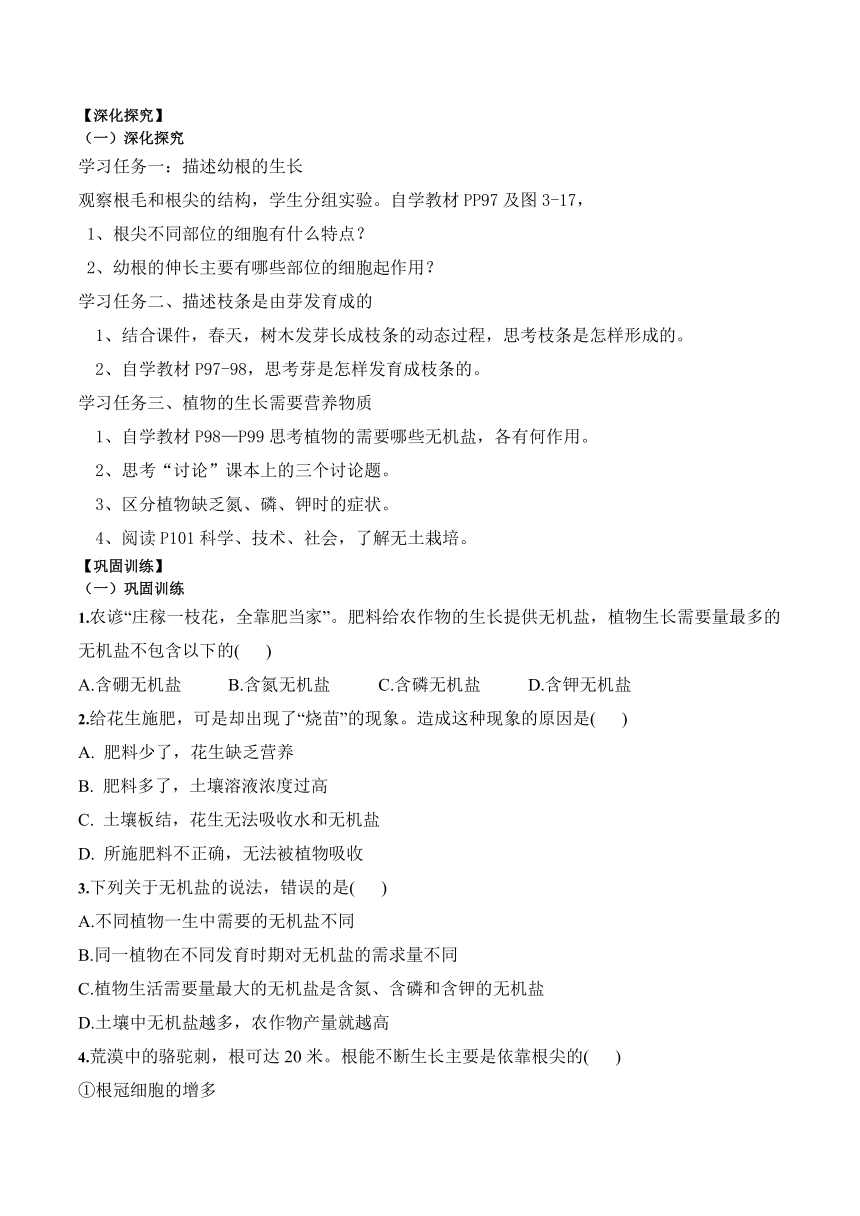 3.2.2  植株的生长  学案 2023-2024学年人教版生物七年级上册 （word版 含解析）