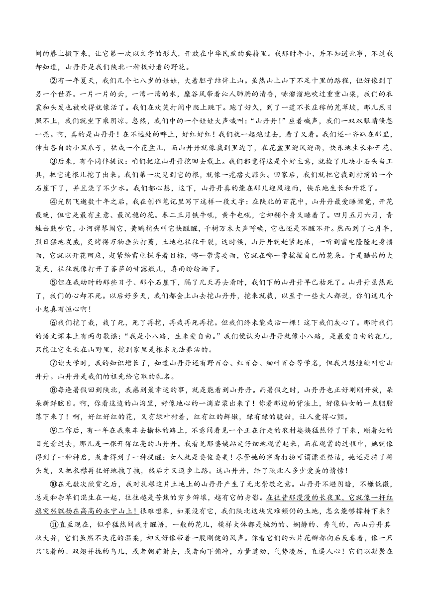2023年广西壮族自治区南宁中考模拟语文试题（含答案）