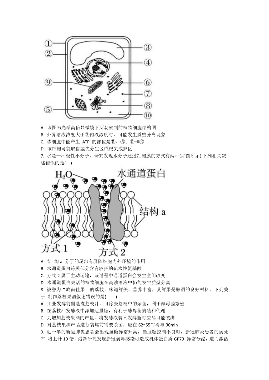 天津市武清区杨村第一高级中学校2023-2024学年高三上学期开学学业质量检测生物学试卷（Word版含答案）