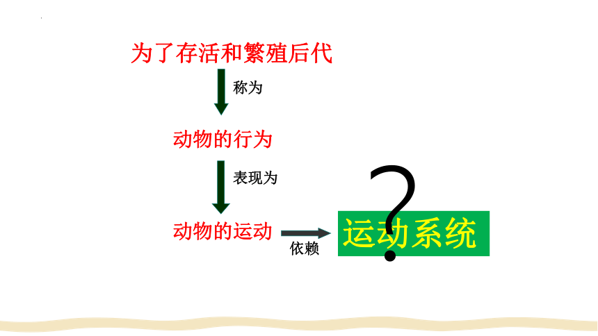 5.2.1动物的运动课件 (共42张PPT)人教版生物八年级上册