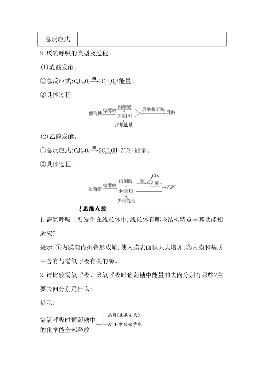 浙科版（2019）生物必修一 第三章第四节课时1　需氧呼吸与厌氧呼吸的过程学案（含解析）