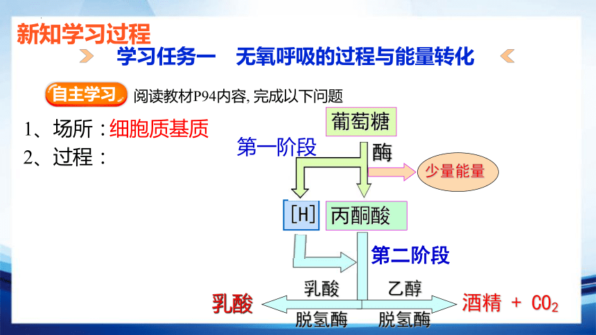 5.3.2 无氧呼吸及细胞呼吸原理的应用(共25张PPT)-高一生物课件（人教版2019必修1）