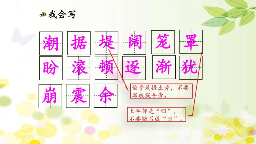 1 观潮   课件(共24张PPT)