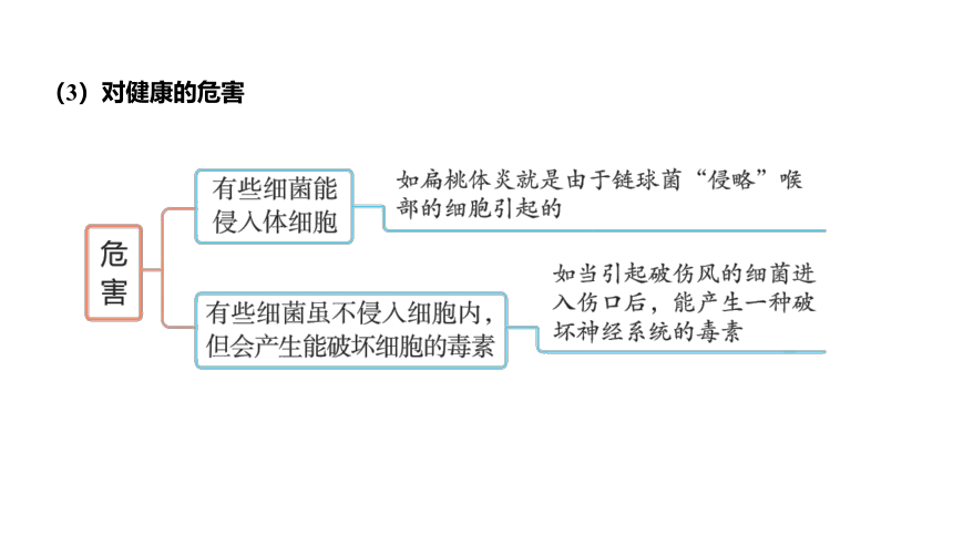 3.2来自微生物的威胁（课件 37张PPT)