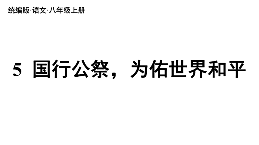 5《国行公祭，为佑世界和平》课件(共30张PPT)