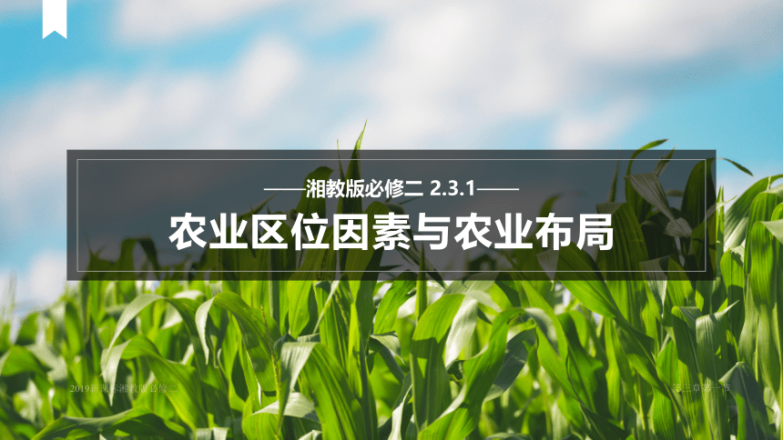 2.3.1 农业区位因素与农业布局 课件--湘教版2019必修二