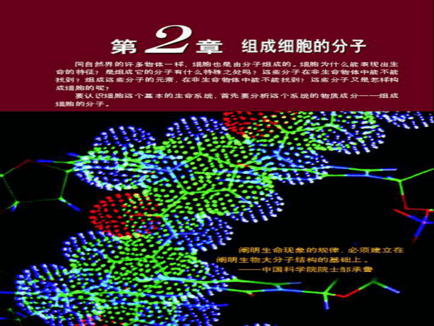 2.1细胞中的元素和化合物(课件共29张PPT)