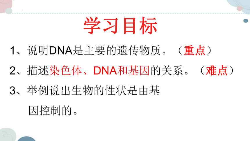 20.2 性状遗传的物质基础-2023-2024学年八年级生物上册同步教学课件（北师大版）(共33张PPT)