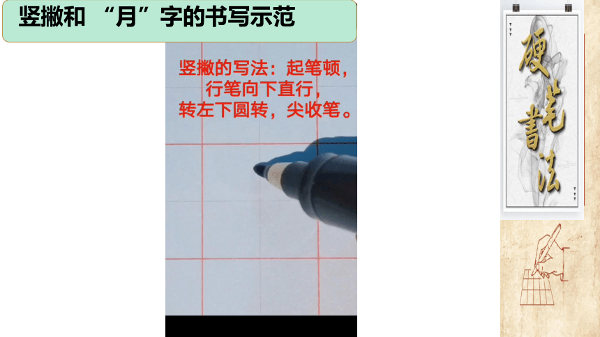 深圳市学校一年级书法第7课《竖撇、横撇的写法》课件