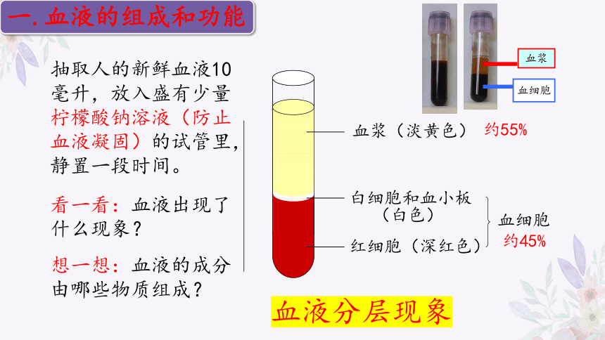 4.10.1血液和血型（第一课时）课件(共32张PPT)苏教版七年级生物下册