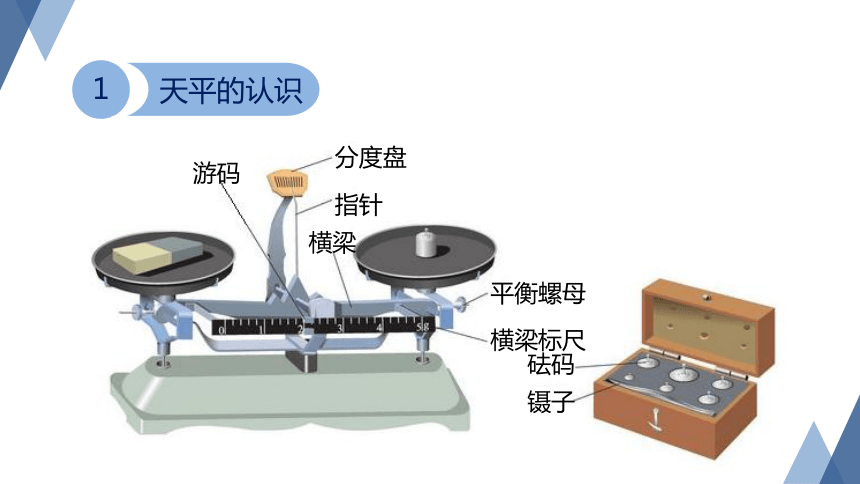 4.2 质量的测量（课件 20张ppt）